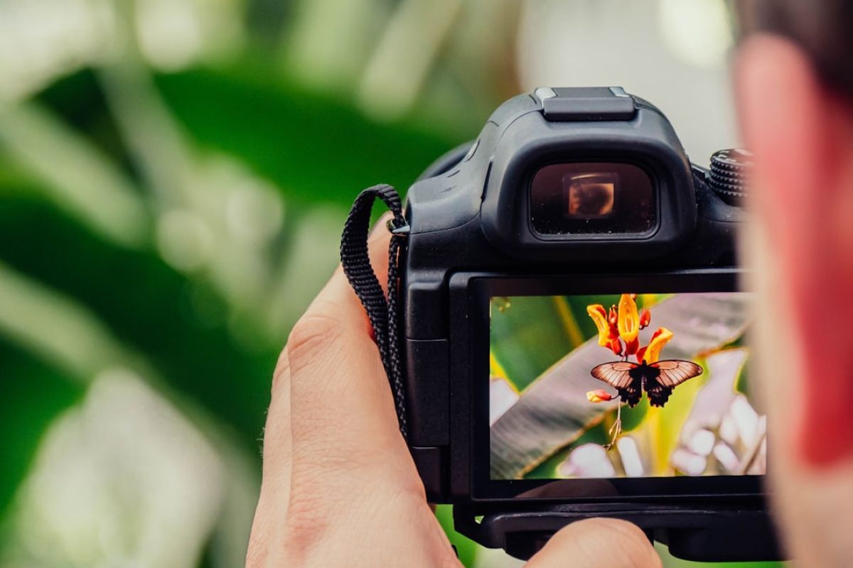 réussir vos photos pro grâce à l'IA