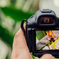 réussir vos photos pro grâce à l'IA